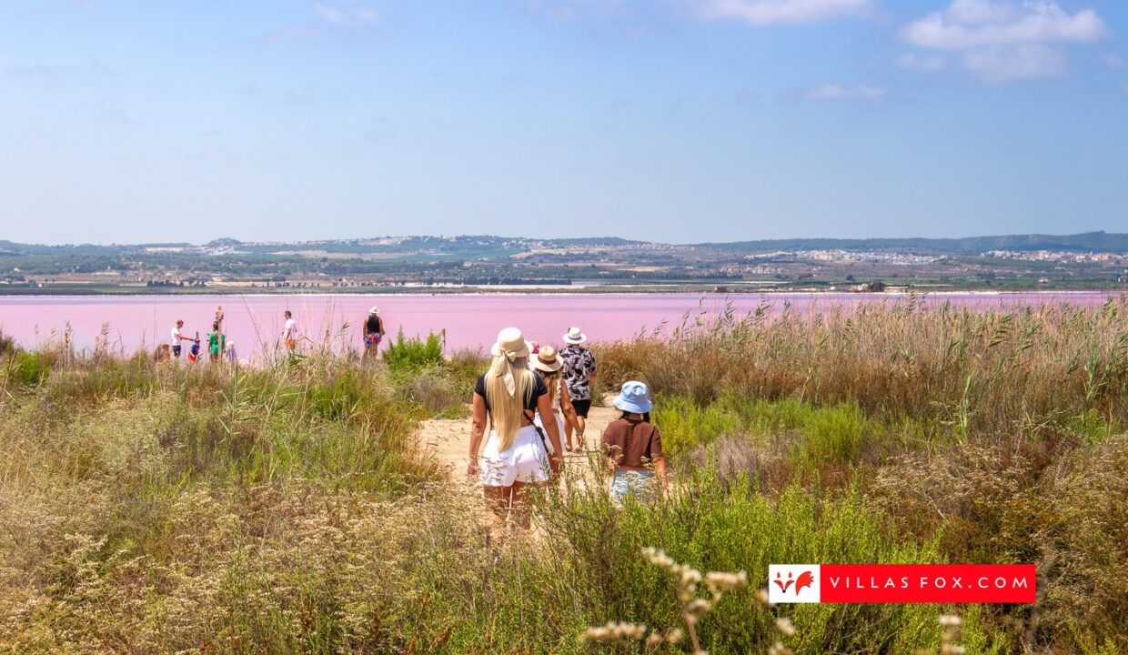 1354_35-lac_salee_salinas_salt_lake_san_miguel_de_salinas